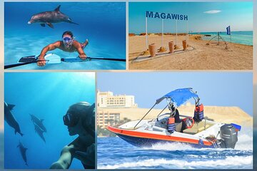 Dolphin House and Magawish Island by Private Speedboat - Hurghada