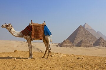 Half day at the pyramids and the Sphinx