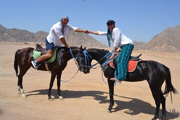 Desert Horse Riding Trip with Transfer - Sharm El Sheikh