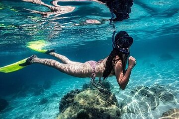 Tiran Island Snorkeling trip, Lunch & Transfer - Sharm El Sheikh