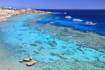 Tiran Island Snorkeling Sea Trip & intro dive - Sharm El Sheikh