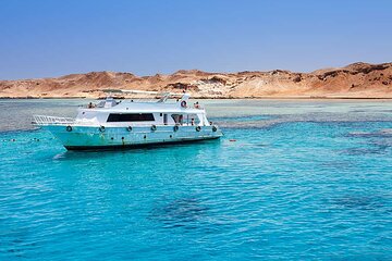 Scuba Diving Experience for Beginners & Lunch - Sharm El Sheikh