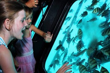 Semi Submarine Snorkeling Sea Trip & transfer - Sharm el sheikh