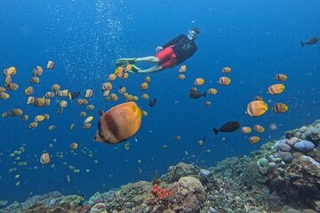 Bali: Nusa Lembongan Snorkeling-Island Tour Daytrip-All Inclusive