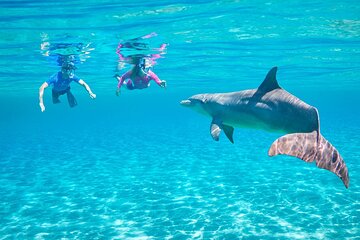 Full Day Dolphin House Boat Trip, Water Sports & Lunch-Hurghada