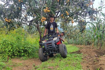 Pick Your Own Fruit on ATV