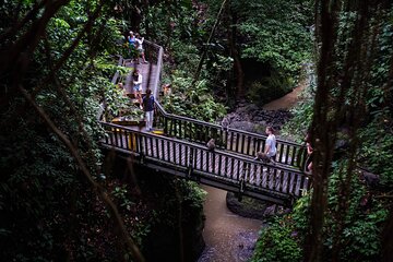Perfect Day Trip to Ubud 