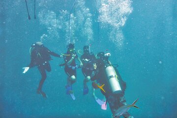 PADI Open Water Diving Course and Pickup Service– Sharm El Sheikh