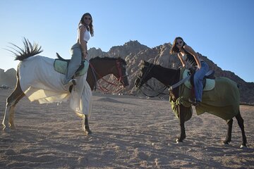 Experience Two Hours Horseback Riding In the Desert - Marsa Alam