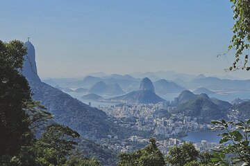 Small-Group Tijuca Forest Guided Tour