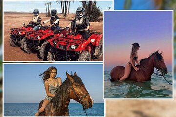 Horse Riding & ATV Quad Safari Trip - Sharm El Sheikh