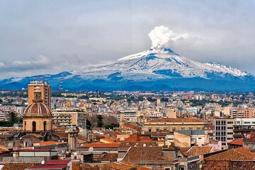 Full Day Etna's Legacy Private Tour from Catania