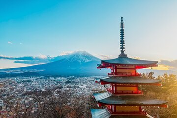 Full day Private Sightseeing to Mt. Fuji and Hakone