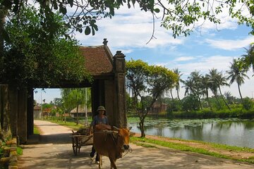Small Group Tour Discover the best of Duong Lam Ancient Village 