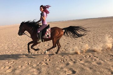 Saddle Up for Stunning Horse Riding Adventure in Desert- Hurghada