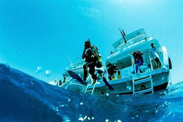 Full Day Coral Garden Diving & Snorkeling with Lunch – Marsa Alam