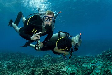 Open Water PADI Diving Course Earn your certification -Marsa Alam