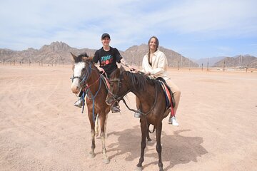 Adventure Horseback Riding Beach & Desert with Dinner – Hurghada