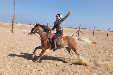  Horse Riding Adventure in Beautiful Dessert - Hurghada