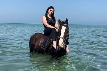 Horse Riding in Nabq Bay beach With Transfer - Sharm El Sheikh