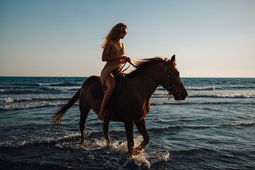 Horse Riding 2 Hours in Nabq Bay beach W/Transfer-Sharm El Sheikh