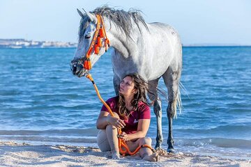 2 Hours Desert and Sea Horse Riding Experience from Hurghada