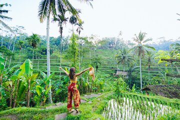 Ubud: Waterfall, Rice Terraces, and Monkey Forest Private Tour