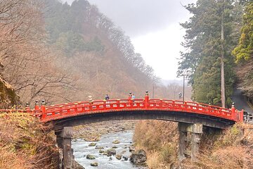 Nikko day tour with private transportation