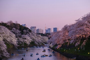 Tokyo City Private Sightseeing English Day Fun Tour