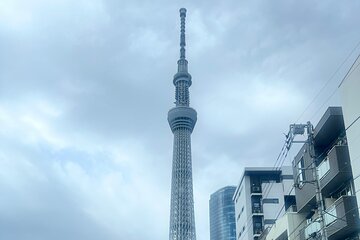 Tokyo Private Sightseeing Day Tour 