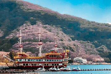 Hakone Lake Ashi cruise Hot Bath Private Sightseeing Trip