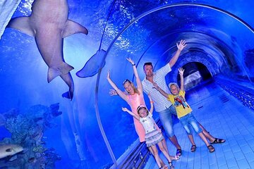 Grand Aquarium Hurghada Tour Experience With Transfer - Hughada