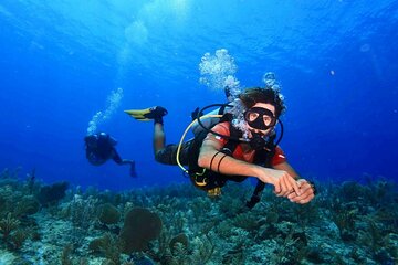 Reef Dive 2 Tanks Tulum