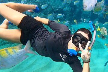 Snorkeling On Chilean Beach Transportation And Drinks Included