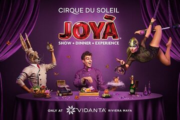 Cirque du Soleil JOYA Admission Tickets