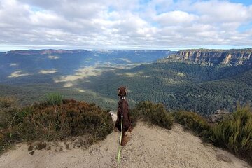 MPT - Blue Mountains Luxury Private tour