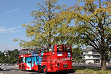 Tokyo City, Open Top Bus Sightseeing Trip