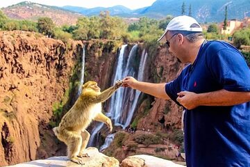 Explore Ouzoud waterfalls Marrakech Guided Hike & Boat Experience