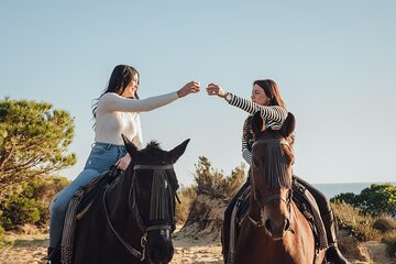 Camel or Horse Riding in Egypt's Desert – Sharm El Sheikh