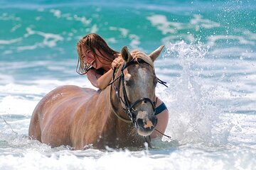 3 Hours Horse Riding And Swimming with Horses from Hurghada 