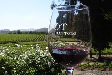 Santiago City & Concha y Toro Vineyard Private Tour