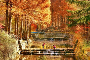 Jeonju Hanok Village Full-Day Tour: Jangtaesan Autumn Foliage