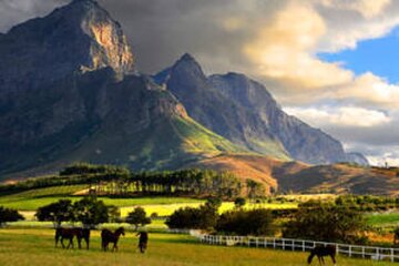 Cape Winelands Customizable Tour