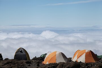 7 Days Machame Route Mountain Kilimanjaro Trekking to Summit