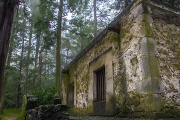 Desierto de los Leones Hike with Historic Convent Tour