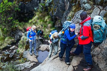 Hike to Shira Plateau on Mount Kilimanjaro Guided FullDay Tour