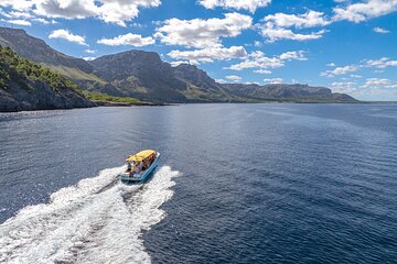 Boat Trip to Llevant Natural Park and Blue Cave