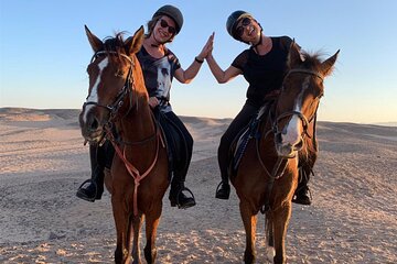 Camel or Horse riding Adventure in Nabq Bay - Sharm El Sheikh