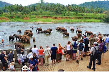 From Colombo: Overnight Tour to Kandy and Transfer to Sigiriya