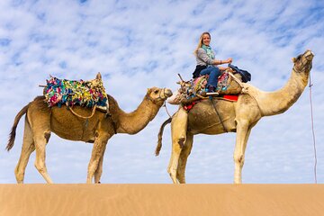 Camel or Horse Riding in Egypt's Desert – Sharm El Sheikh